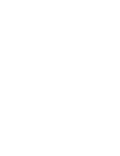 Logo_v_white